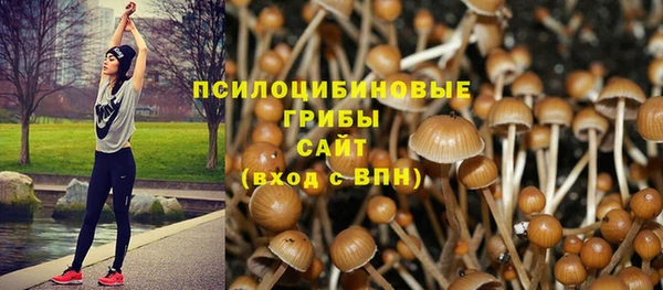 мяу мяу мука Пролетарск
