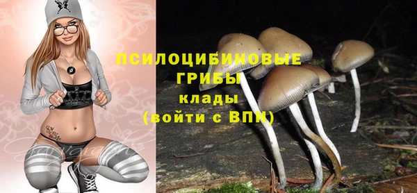 винт Протвино